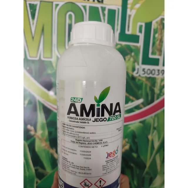 Amina