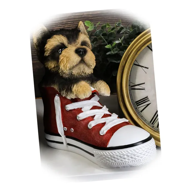 Paw-star Pups Yorkie Yorkshire Terrier Cachorro Perro Hogar