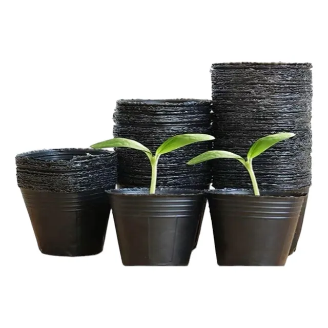 20 Macetas Negras De Vivero 13 Cm Plantas Tunas Plantines