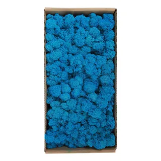 Decoración De Pared Con Musgo Preservado: Sin Mantenimiento, Decoración De Pared Con Musgo Preservado: Sin Mantenimiento,