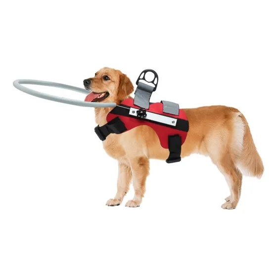 Coleira Cachorro Cego Aro Proteção Guia Gato Guia Regulável