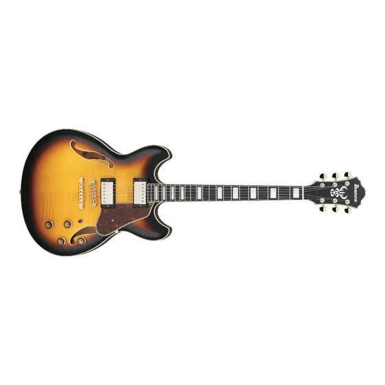 Guitarra Electrica Ibanez As 93 Fm Ays - La Plata