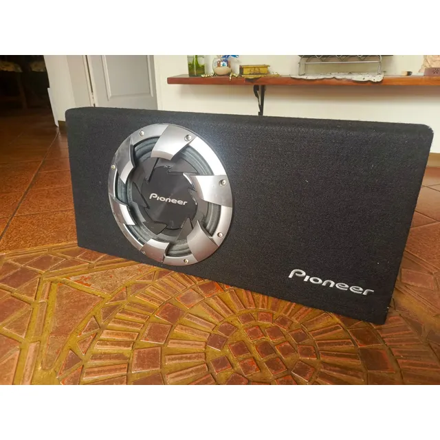 Subwoofer De 12  Con Bobina Móvil 