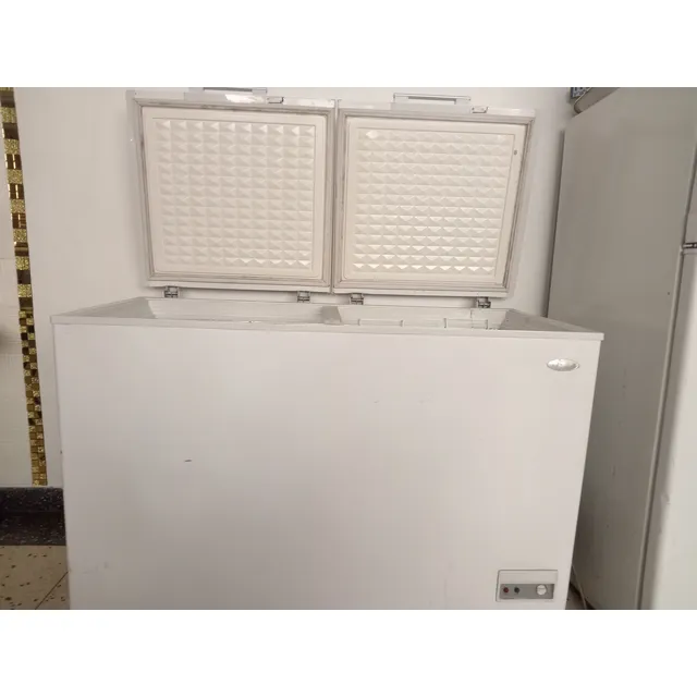 Frezzer  De Dos Puertas Usado