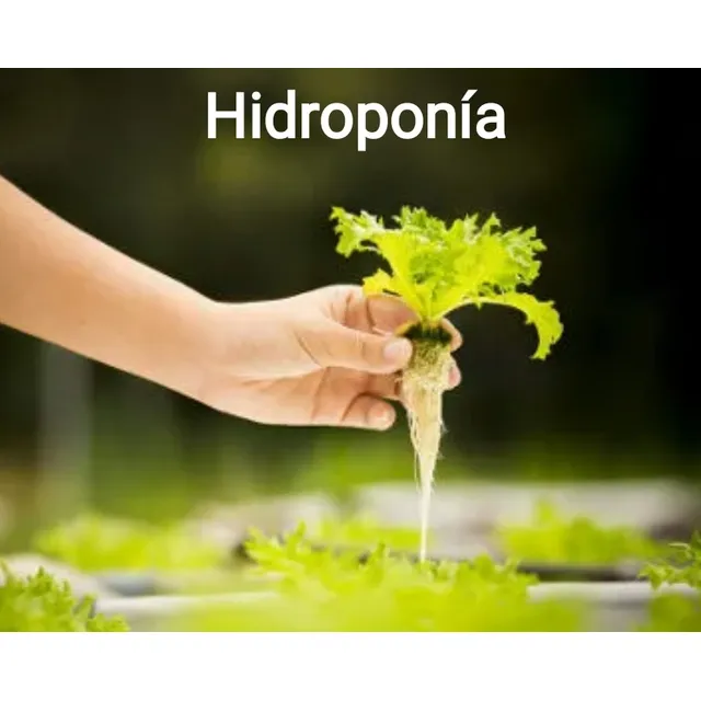 Kit Solución Nutritiva Para Hidroponía.