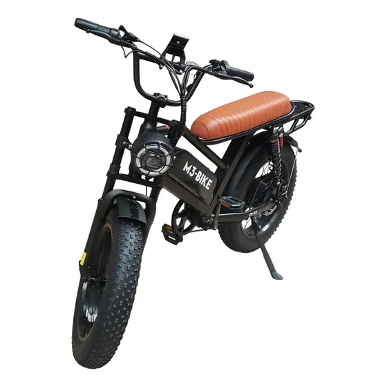 Bicicleta Eléctrica M3 R20