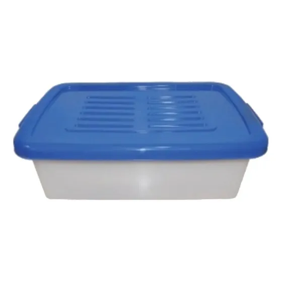 Caja Organizadora Duraplast De 20litros 