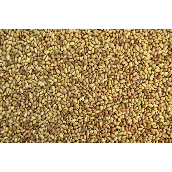 Semillas Alfalfa - 1 Kg - Forraje Campo Jardines