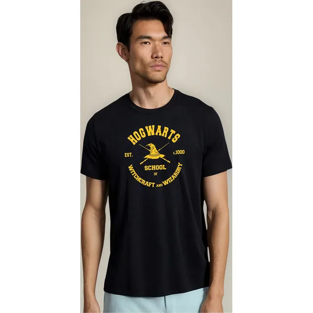 Remera Hogwarts Wizard Harry Potter Quidditch M 85