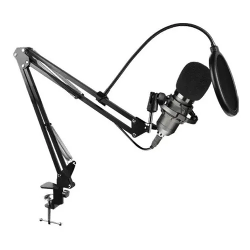 Micrófono Condensador Unidireccional Balam Rush Br-9329 /v Color Negro
