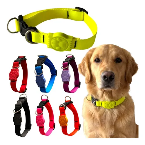 French Bulldog Gold Chain Collar: Medium Dog Jewelry | MercadoLivre