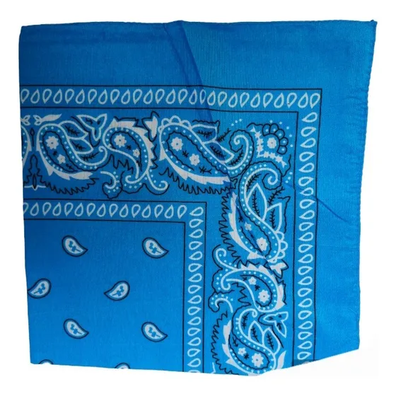 Pañoletas Bandanas Modelo De Bacterias Pack De 2unds