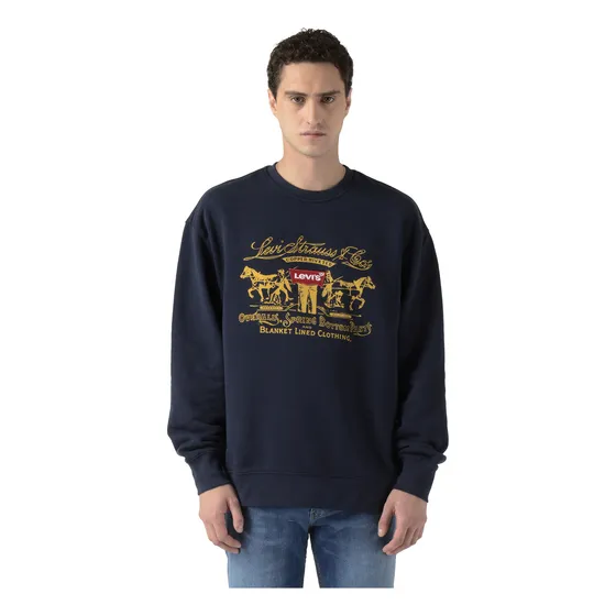 Polerón Hombre Relaxed Graphic Azul Levis 38712-0381