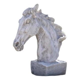 Cabeça De Cavalo N1 Cabeça De Cavalo N1