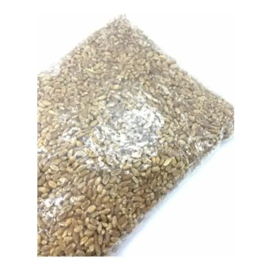 6 Kg De Trigo En Grano - Kg a $4650