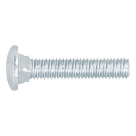  2 Pzas Set Con 20 Tornillos 1/2 X 2-1/2 Tipo Coche, Fiero