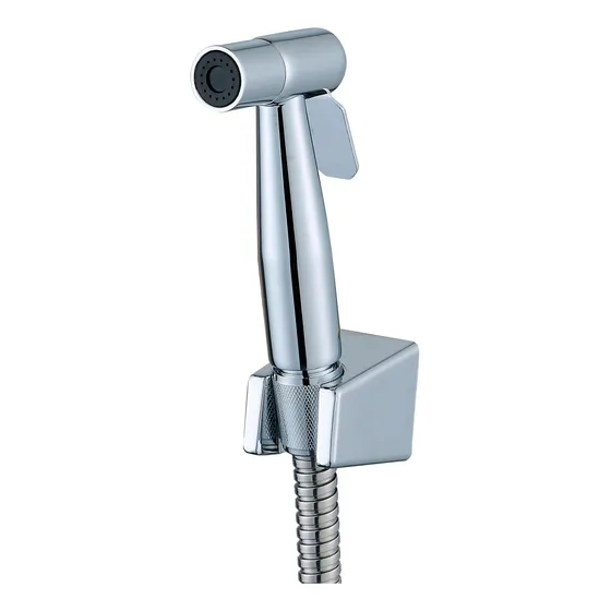 Ducha Teléfono Acquabela Rieti Cromado Manguera Acero 1.2mts