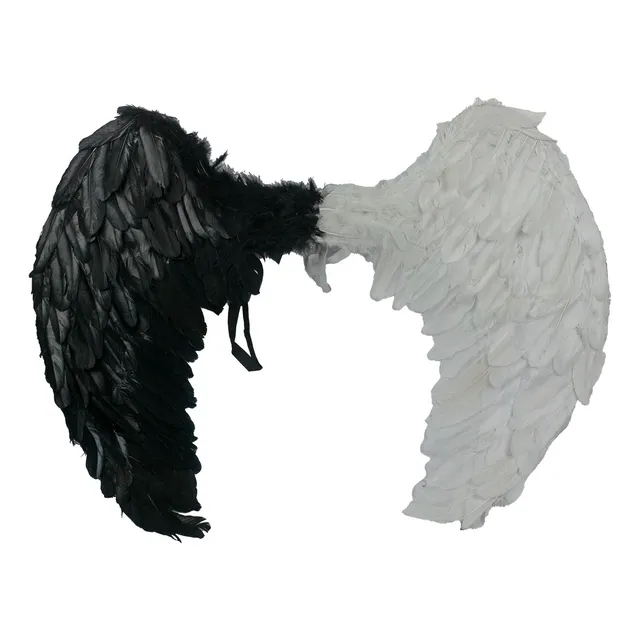 Ala De Plumas Bicolor