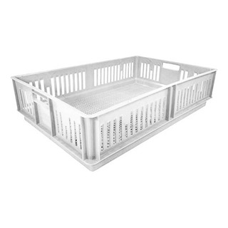 Caja Para Pollitos Sin División Calada Caja Para Pollitos Sin División Calada