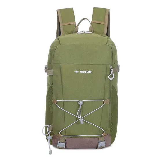 Mochila Portanotebook Alpine Skate Con Compartimento