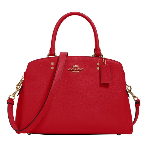 El Entrenador Lillie Carryall, G8d1f