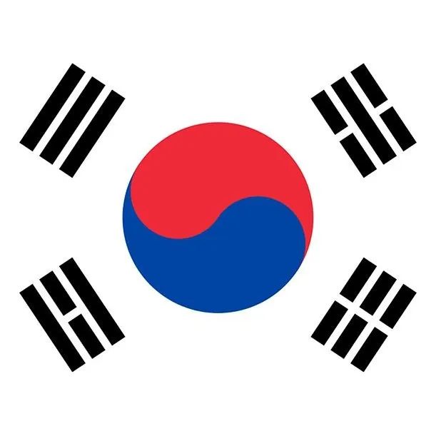 Bandera Corea Del Sur Estampada 60x90 Cm - S0001cr