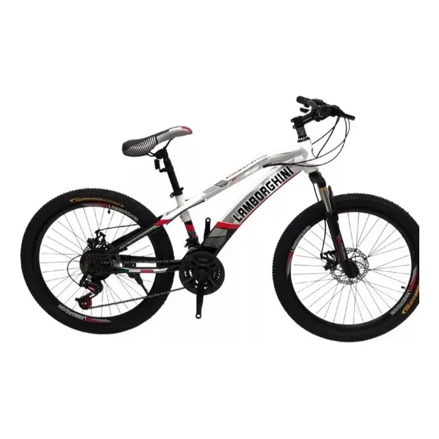 Bicicleta Mtb Rodado 24 Lamborghini Nena Nene 21 Cambios