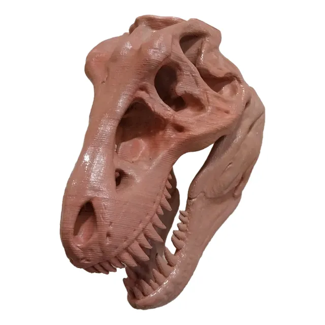 T Rex Craneo Adorno Pared Con Soportes