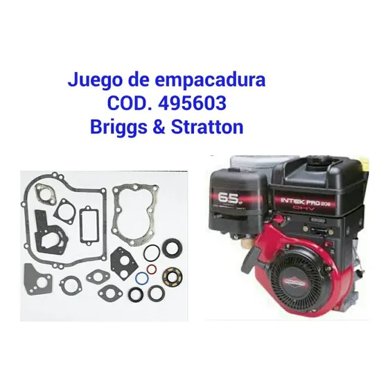 Repuestos Para Motores A Gasolina Briggs & Stratton Y Otro 