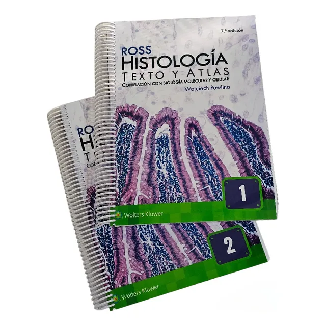 Ross 7ma Edición, Histología 