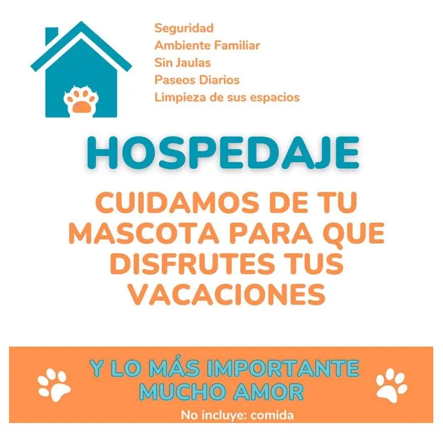 Gato Persa - Hospedaje Para Gatos