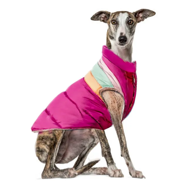 Campera Chaleco Inflado Corderito Elecant Perros Grandes