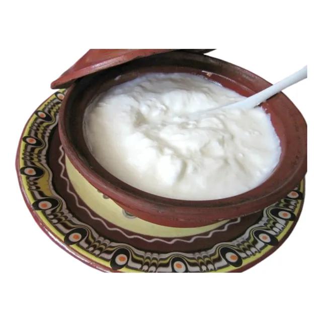 Búlgaros  De Leche / Receta Yogur Griego/  Cuidados Basicos
