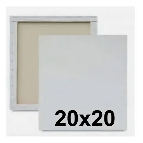 Kit 10 Tela De Pintura 20 X 20