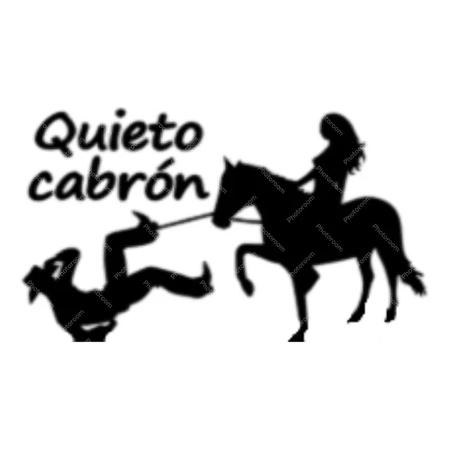 Calcomania Vinil De Vaqueros Para Carro/moto