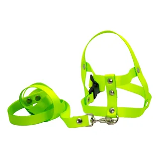 Guia Coleira Peitoral PoliĂ©ster P/ Cachorro - NÂș4 Verde Guia Coleira Peitoral PoliĂ©ster P/ Cachorro - NÂș4 Verde