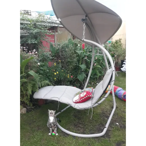 Reposera Colgante Con Soporte Taupe  !