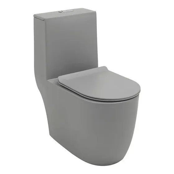 Vaso Sanitário Monobloco Porcelana Amazonita Pingoo Casa Cinza