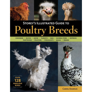 Libro: Storeys Illustrated Guide To Poultry Breeds: Chicken Libro: Storeys Illustrated Guide To Poultry Breeds: Chicken