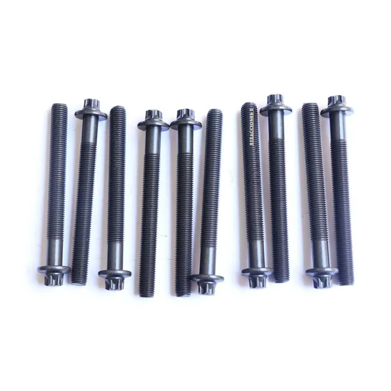 Juego 10 Tornillos Cabeza Megane 1 Y 2