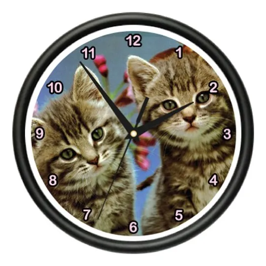 Signmission Reloj Pared Para Gatito Amante Gato Regalo