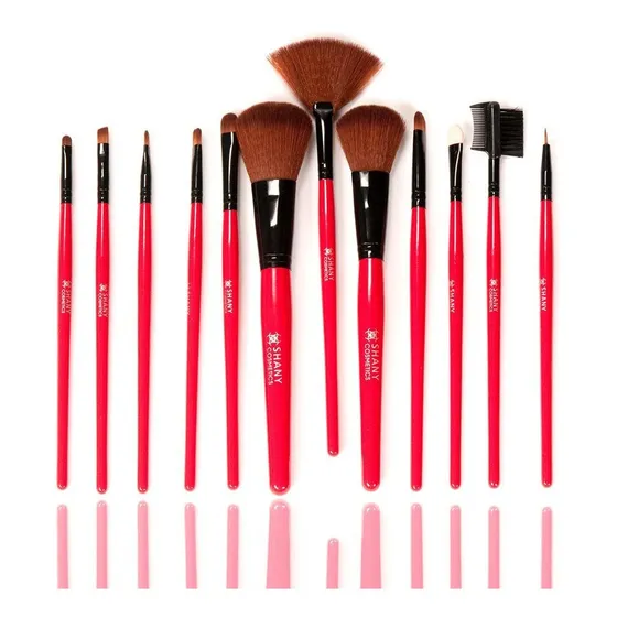 Set De 12 Brochas Profesionales Shany Para Maquillaje