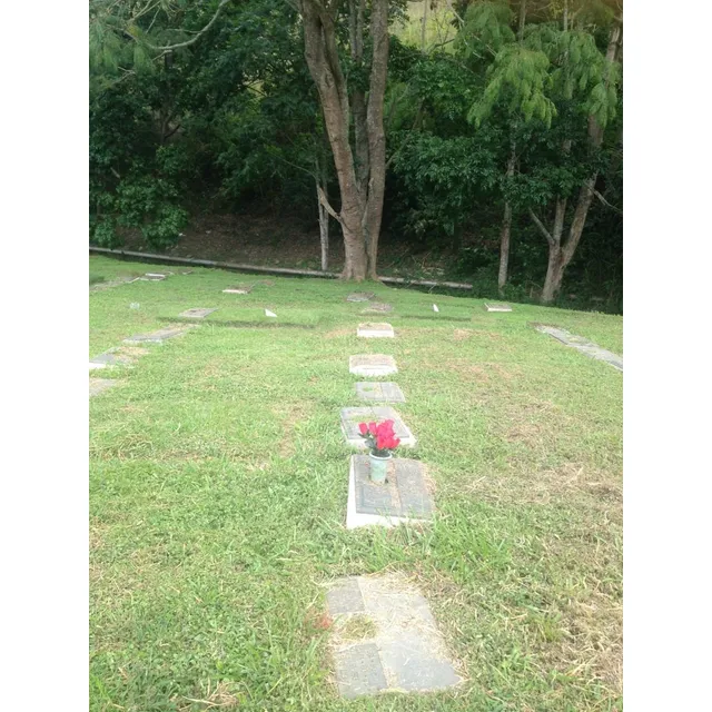 Vendo Parcela En Cementerio Del Este