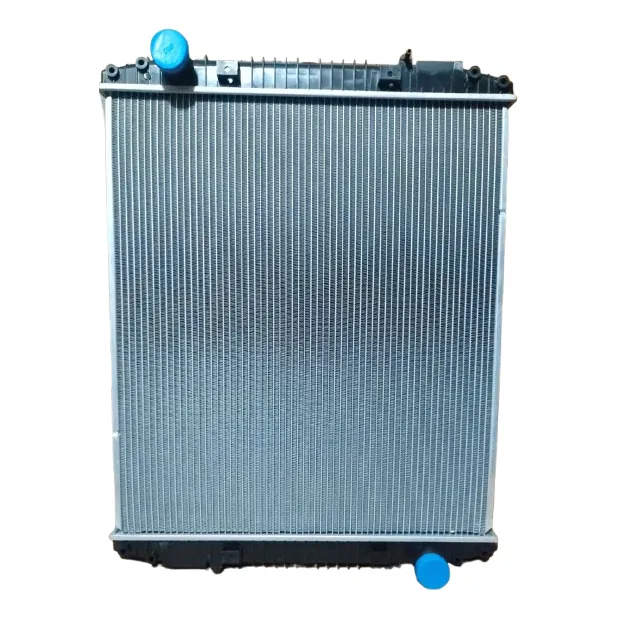Radiador Ford Cargo 1721 ( Modelo Nuevo)