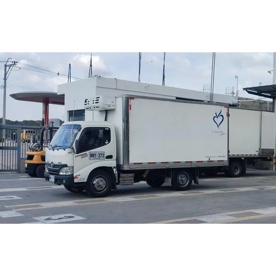 Hino Dutro Pro 200