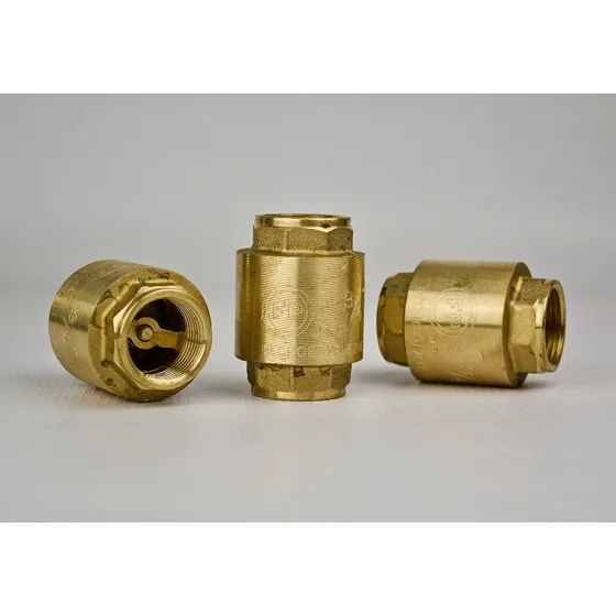 Valvula Check 1/2 , 3/4  Y 1  Marca Fp