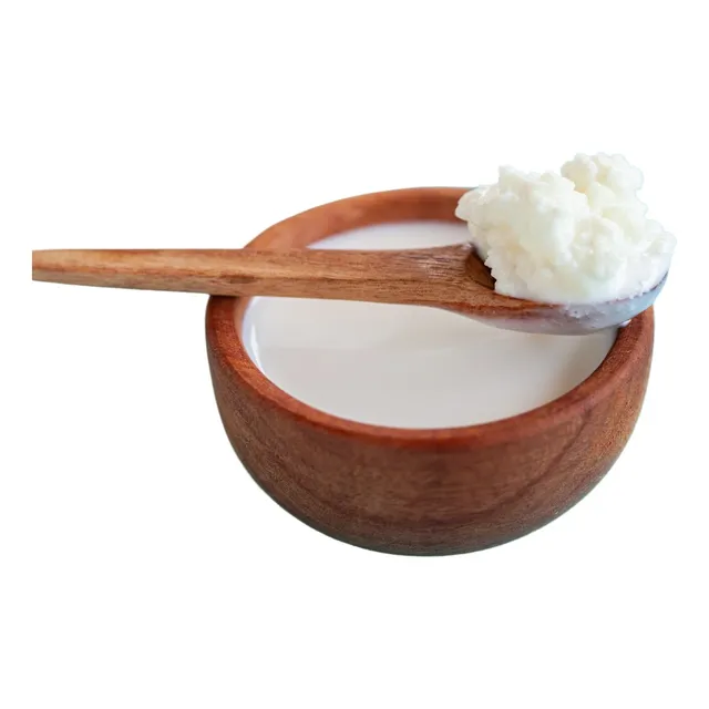 Nódulos Frescos De Kéfir De Leche Ecológicos 40 Cc