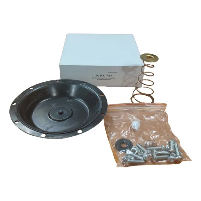 Kit De Reparacion Para Cargador De Aire  120 Galones 