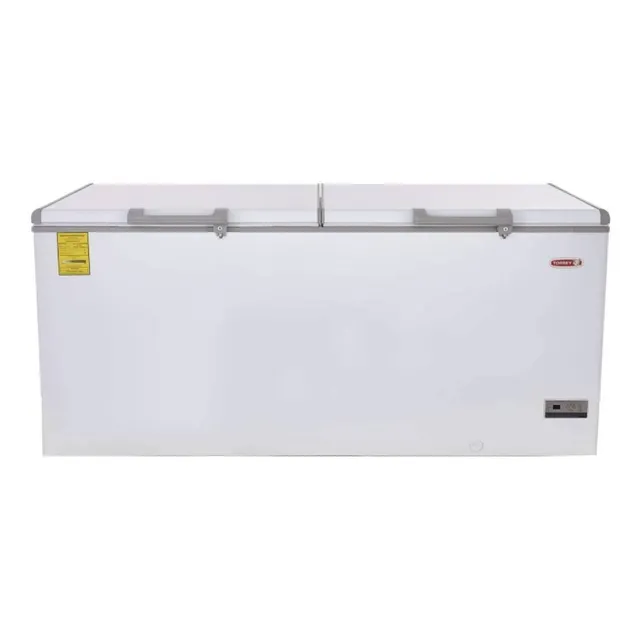 Congelador Horizontal Comercial Torrey Chtc-255d 2 Metros Color Blanco