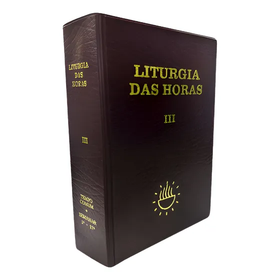 Liturgia Das Horas Volume 4 - Tempo Comum Semanas 18 A 34 - Encadernado Ideal Para Leitura